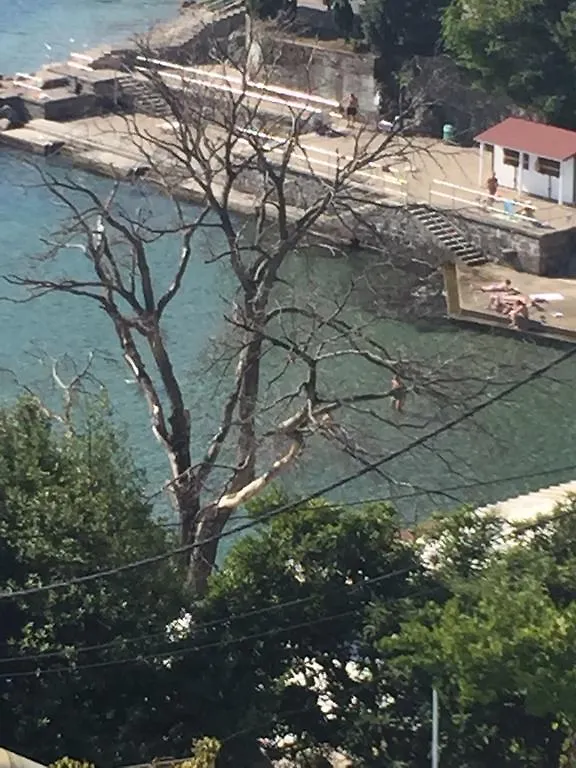 Villa Dinka Vip Apartmani Croatia